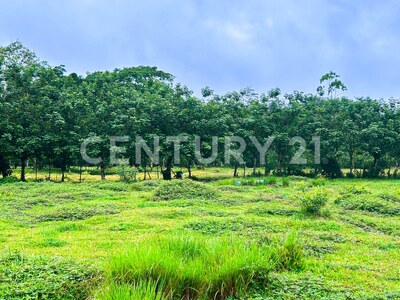 Venta de Terreno en La Colonia de Guápiles — Foto 3