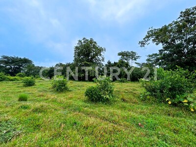Venta de Terreno en La Colonia de Guápiles — Foto 11
