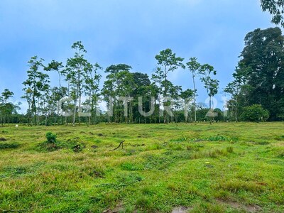 Venta de Terreno en La Colonia de Guápiles — Foto 6