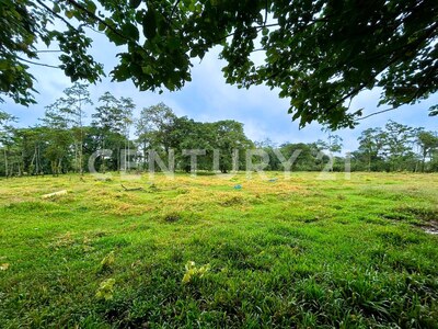 Venta de Terreno en La Colonia de Guápiles — Foto 4