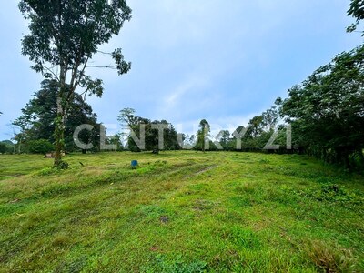 Venta de Terreno en La Colonia de Guápiles — Foto 5