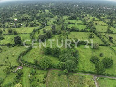 Venta de Terreno en La Colonia de Guápiles — Foto 18