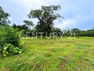 Venta de Terreno en La Colonia de Guápiles — Foto 12