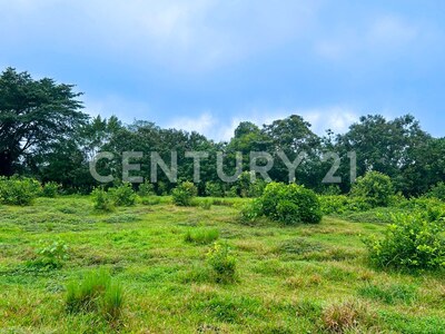Venta de Terreno en La Colonia de Guápiles — Foto 8