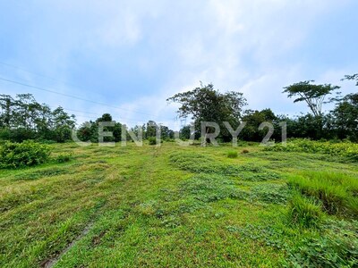 Venta de Terreno en La Colonia de Guápiles — Foto 9
