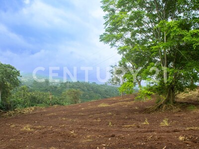 Terreno en Venta en el Centro de Naranjo – 63,045 m² para Desarrollo Comercial o Industrial — Foto 8