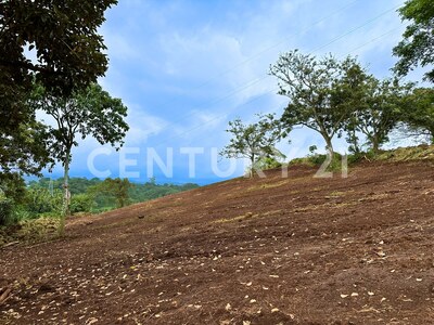 Terreno en Venta en el Centro de Naranjo – 63,045 m² para Desarrollo Comercial o Industrial — Foto 10