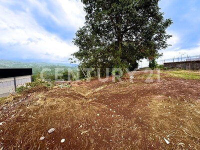 Terreno en Venta en el Centro de Naranjo – 63,045 m² para Desarrollo Comercial o Industrial — Foto 5