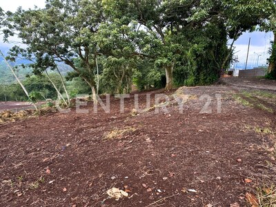 Terreno en Venta en el Centro de Naranjo – 63,045 m² para Desarrollo Comercial o Industrial — Foto 9