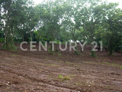 Terreno en Venta en el Centro de Naranjo – 63,045 m² para Desarrollo Comercial o Industrial — Foto 6