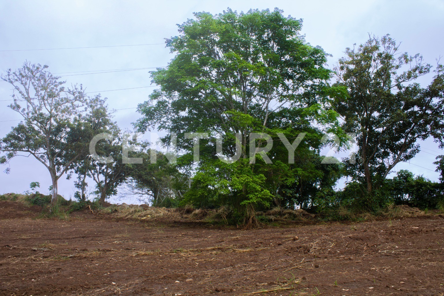 Terreno en Venta en el Centro de Naranjo – 63,045 m² para Desarrollo Comercial o Industrial — Foto 2