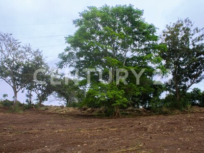 Terreno en Venta en el Centro de Naranjo – 63,045 m² para Desarrollo Comercial o Industrial — Foto 4