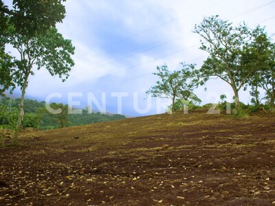 Terreno en Venta en el Centro de Naranjo – 63,045 m² para Desarrollo Comercial o Industrial — Foto 7