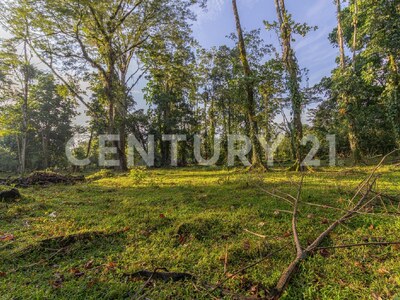 Venta de Finca en La Colonia, Guápiles — Foto 8