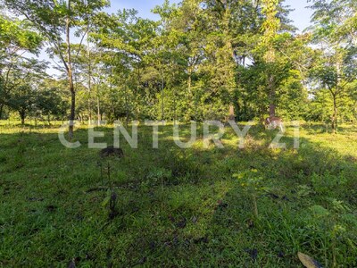 Venta de Finca en La Colonia, Guápiles — Foto 10