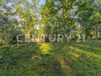 Venta de Finca en La Colonia, Guápiles — Foto 9