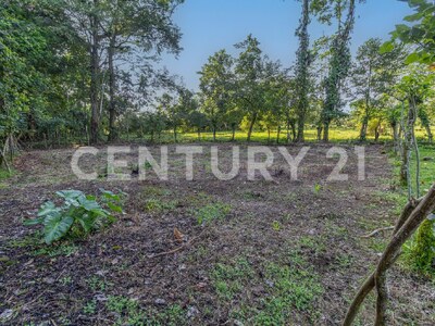 Venta de Finca en La Colonia, Guápiles — Foto 11