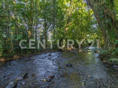 Venta de Finca en La Colonia, Guápiles — Foto 5