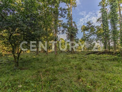 Venta de Finca en La Colonia, Guápiles — Foto 3