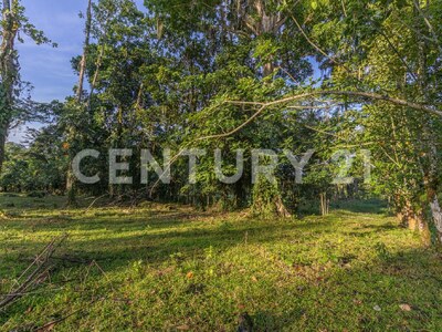 Venta de Finca en La Colonia, Guápiles — Foto 7