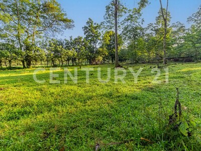 Venta de Finca en La Colonia, Guápiles — Foto 2