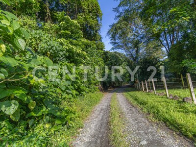 Venta de Finca en La Colonia, Guápiles — Foto 13