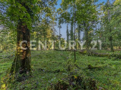 Venta de Finca en La Colonia, Guápiles — Foto 4