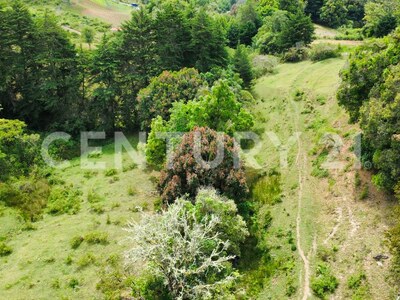 SE VENDE Finca EN DOTA- INVERSIÓN RURAL! — Foto 25