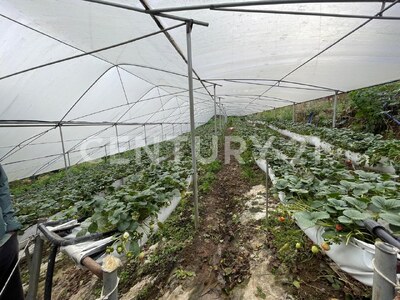 SE VENDE Finca EN DOTA- INVERSIÓN RURAL! — Foto 20