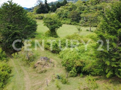 SE VENDE Finca EN DOTA- INVERSIÓN RURAL! — Foto 30