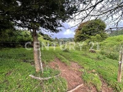 SE VENDE Finca EN DOTA- INVERSIÓN RURAL! — Foto 22