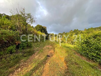 SE VENDE Finca EN DOTA- INVERSIÓN RURAL! — Foto 15