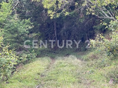 SE VENDE Finca EN DOTA- INVERSIÓN RURAL! — Foto 12