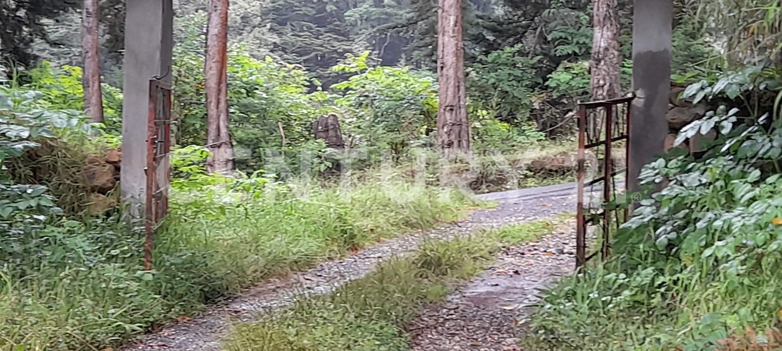 SE VENDE Finca EN DOTA- INVERSIÓN RURAL! — Foto 2