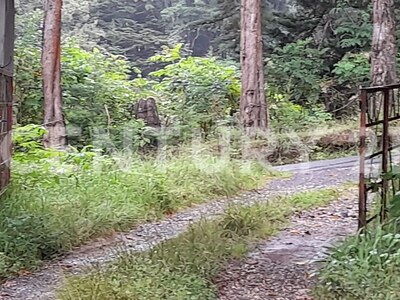 SE VENDE Finca EN DOTA- INVERSIÓN RURAL! — Foto 2