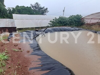 SE VENDE Finca EN DOTA- INVERSIÓN RURAL! — Foto 23