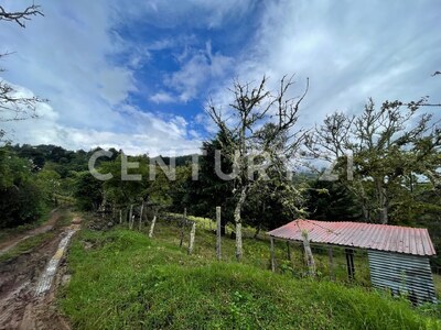 SE VENDE Finca EN DOTA- INVERSIÓN RURAL! — Foto 16