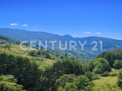 SE VENDE Finca EN DOTA- INVERSIÓN RURAL! — Foto 29