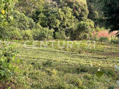 SE VENDE Finca EN DOTA- INVERSIÓN RURAL! — Foto 13