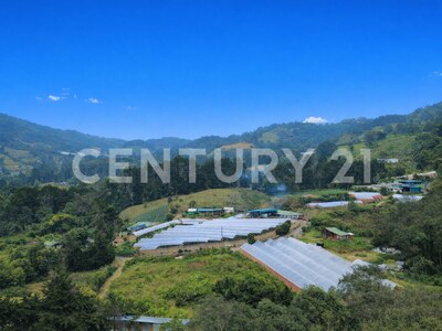 SE VENDE Finca EN DOTA- INVERSIÓN RURAL! — Foto 31