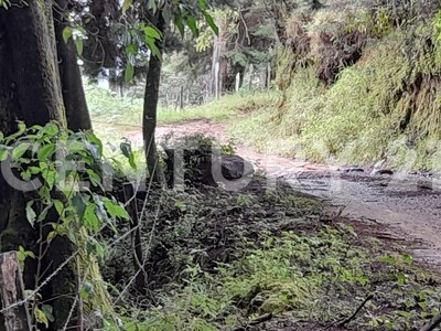 SE VENDE Finca EN DOTA- INVERSIÓN RURAL! — Foto 4