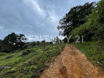 SE VENDE Finca EN DOTA- INVERSIÓN RURAL! — Foto 19