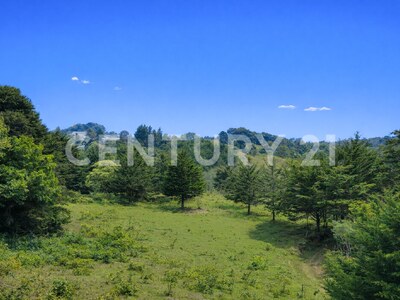 SE VENDE Finca EN DOTA- INVERSIÓN RURAL! — Foto 28