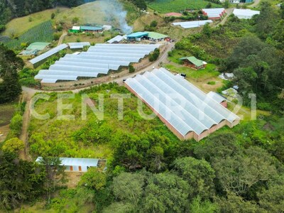 SE VENDE Finca EN DOTA- INVERSIÓN RURAL! — Foto 32
