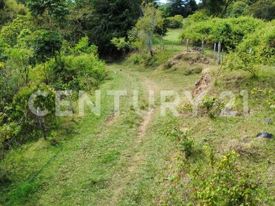 SE VENDE Finca EN DOTA- INVERSIÓN RURAL! — Foto 24