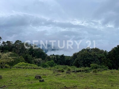 SE VENDE Finca EN DOTA- INVERSIÓN RURAL! — Foto 18