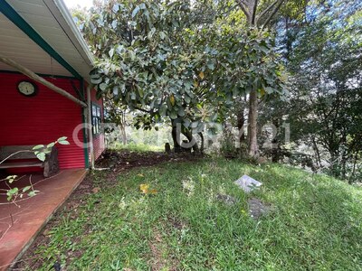 SE VENDE Finca EN DOTA- INVERSIÓN RURAL! — Foto 5