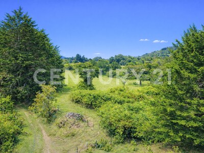 SE VENDE Finca EN DOTA- INVERSIÓN RURAL! — Foto 27