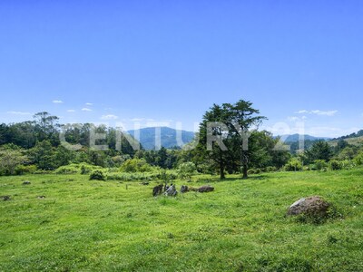 SE VENDE Finca EN DOTA- INVERSIÓN RURAL! — Foto 26