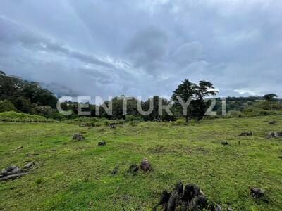 SE VENDE Finca EN DOTA- INVERSIÓN RURAL! — Foto 17